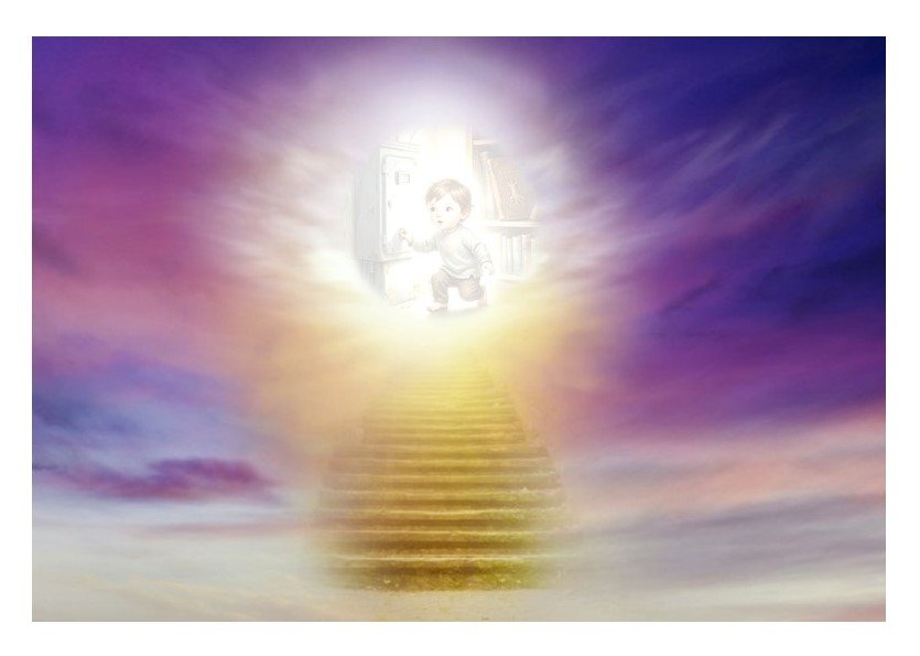 forum-otzar-hatorah.co.il