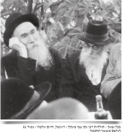 תמונת חזוא וראי ניימרק.png