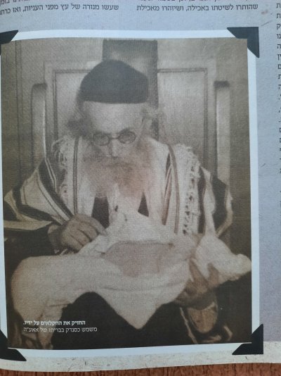 חזוא בברית100.jpg