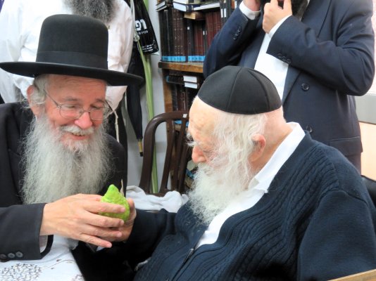 רבי משה דוד ליפקוביץ מביא להרב חיים קניבסקי אתרוגים מחצרו של אביו זן חזון איש המקורי 2.JPG