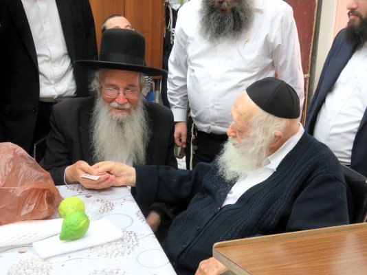 רבי משה דוד ליפקוביץ מביא להרב חיים קניבסקי אתרוגים מחצרו של אביו זן חזון איש המקורי.JPG