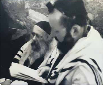 הסטייפלר556.png