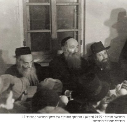 ריס רזס ראז.jpg