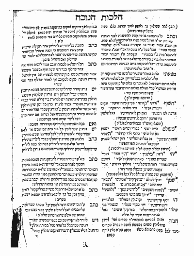 תמונה.png