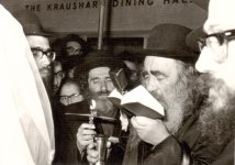 הסטייפלר בחתונת רש שטיינמן.jpg