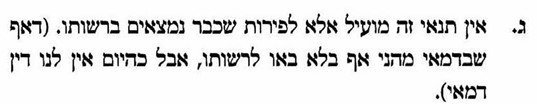 הגר''י בויאר .jpg