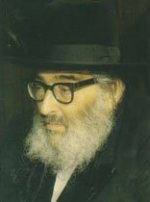 הרב הוטנר ב.jpg