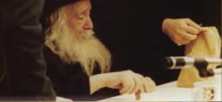 האדמור מצאנז.png