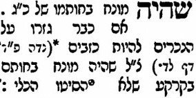 תוספות.jpg