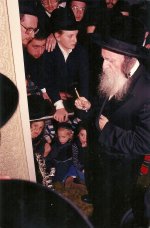 אמשינוב ארהב.jpg