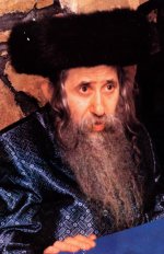 טאש מונטריאל.JPG