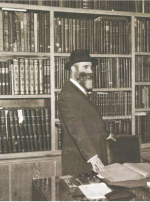 רח קריזוירט2.png