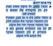 Screenshot 2026-01-06 at 14-04-50 חוט שני - שבת ג - חוט שני - שבת ח''ג -חיפוש.pdf.png