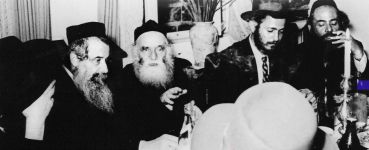 אירוסי רהז.png