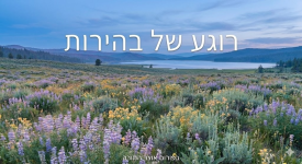 קודם כל: האמת - מי הוא העושה ומי רק הצינור?