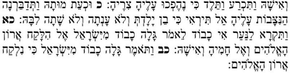 צילום מסך 2026-01-16 150025.jpg