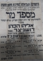 הספד על רא דושניצר.png