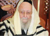 רבצ פלמן11.png