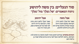 מאמר פורום אוצר התורה 1.png