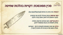 מאמר פורום אוצר התורה 5.png
