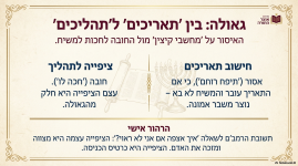 מאמרים פורום אוצר התורה (1).png