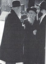 אשר הלוי.jpeg