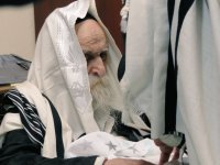 מרן הגרמ''ד הלוי זצ''ל (1).jpg