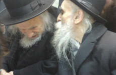 צילום מסך 2026-01-29 215444.png