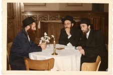 ר''מ סולובייצ'יק ר''י שיינר ר''ב ראקוב - צביעת תוכנה.jpeg