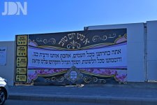 DSC_9768.jpg