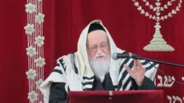 שלזינגר.webp
