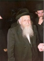 שלזינגר 13.jpg