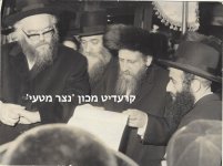 שלזינגר 4.jpg