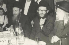 הסטייפלר רשב ורגא.png