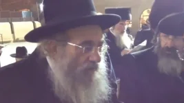 הורדה.webp
