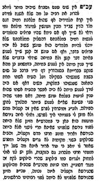 צילום מסך 2026-02-15 013528.jpg