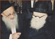 רדפ עם בנו הגרבד.png