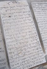 הרב_אליהו_דוד_רבינוביץ'_תאומים.JPG.jpg