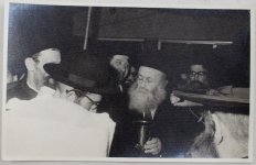 רדפ8899.jpg