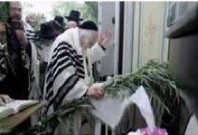 רשא2.png