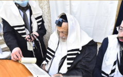 הגרבד בקהמג11.png