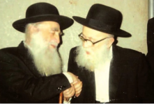 רדפ ורמפ.png