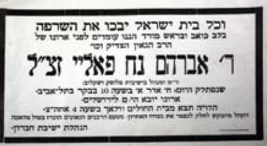 צילום מסך 2026-02-20 105801.png