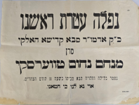 צילום מסך 2026-02-20 111420.png