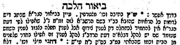 צילום מסך 2026-02-22 124027.jpg