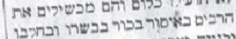 צילום מסך 2026-02-22 134302.jpg