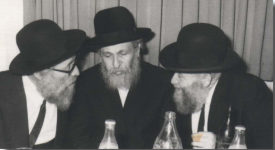 ראפ רידס רשש.png