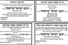 צילום מסך 2026-02-23 223039.png