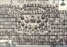 טלז1.png