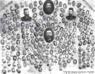 טלז 2.png